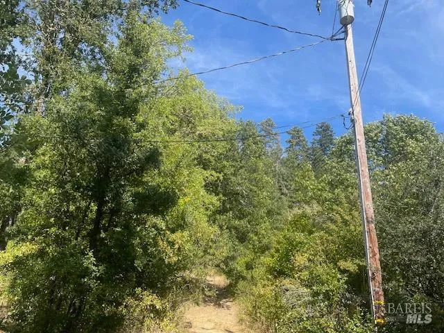 a view of a green yard