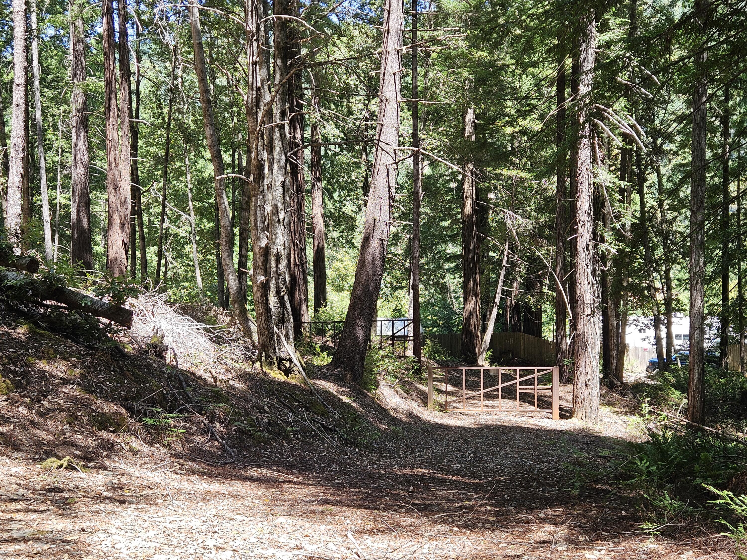 245 Twin Trees Road Garberville, CA 95542 - Photo 2 of 7