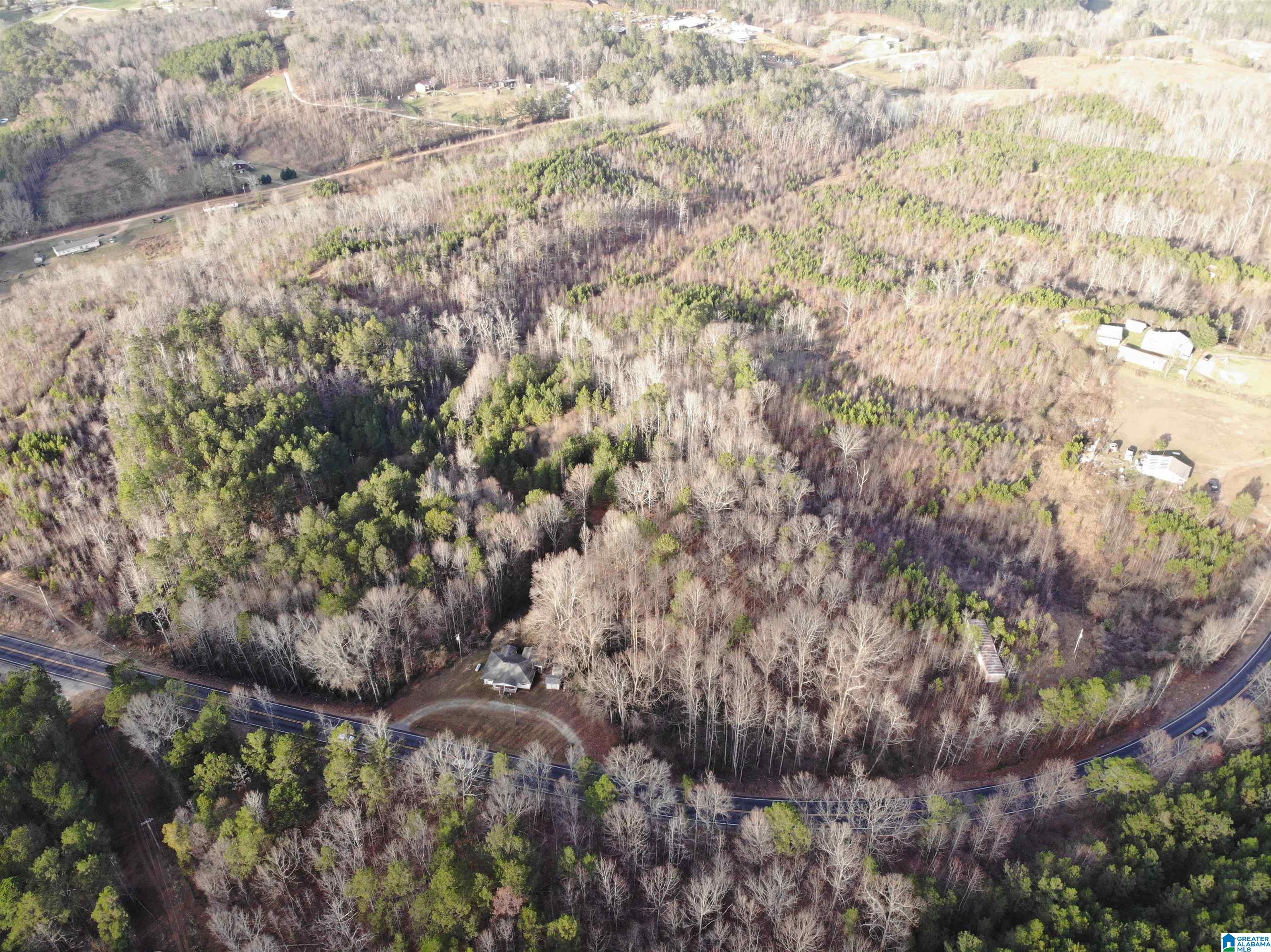0 Highway 48, Unit 1 Wedowee, AL 36278 - Photo 2 of 2