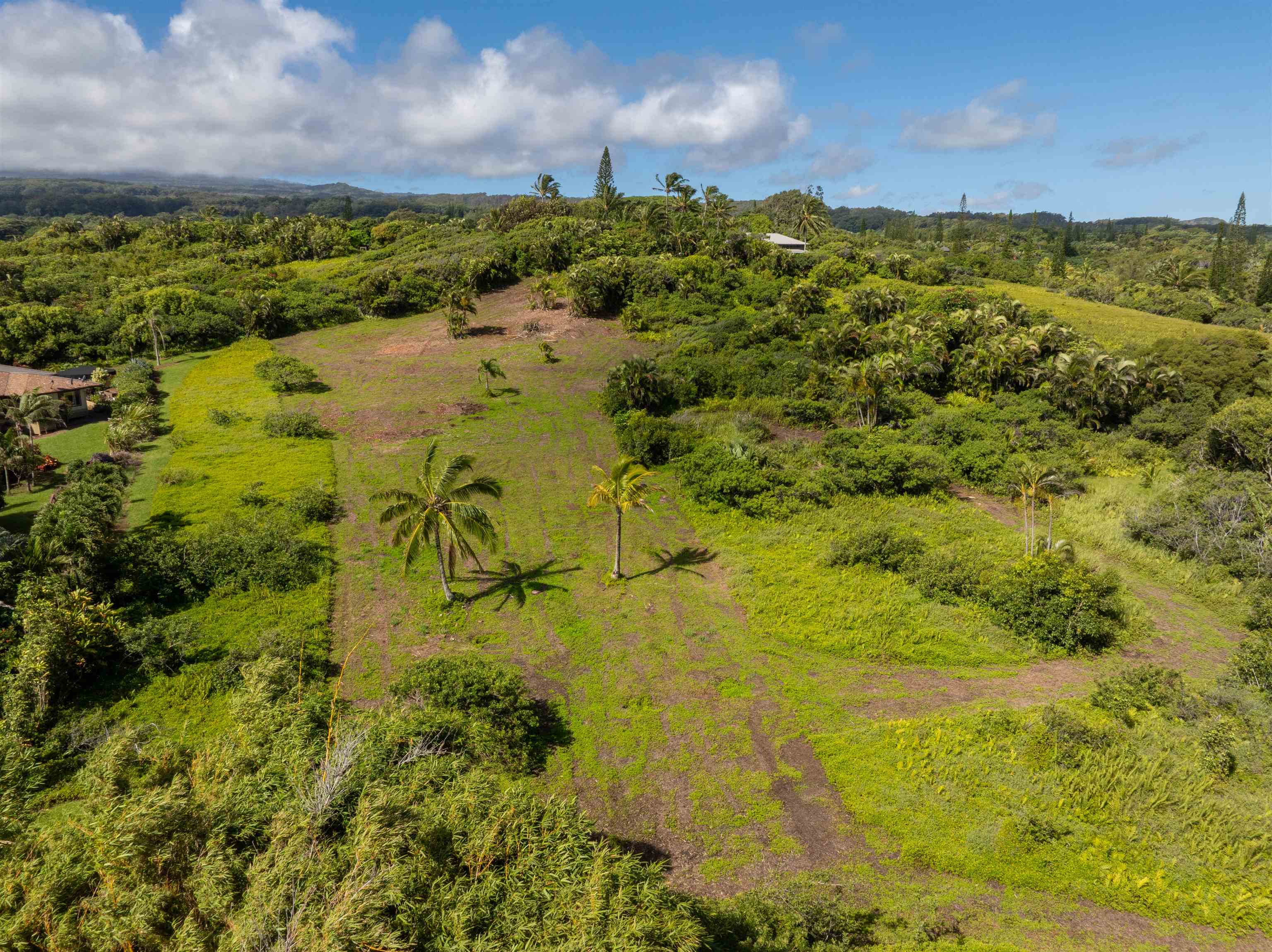 601 North Honokala Road, Unit A Haiku, HI 96708 - Photo 10 of 26