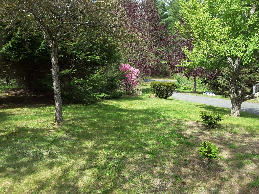 82 Monson Turnpike Road Ware, MA 01082 - Photo 18 of 29 a backyard of a house with yard and trampoline