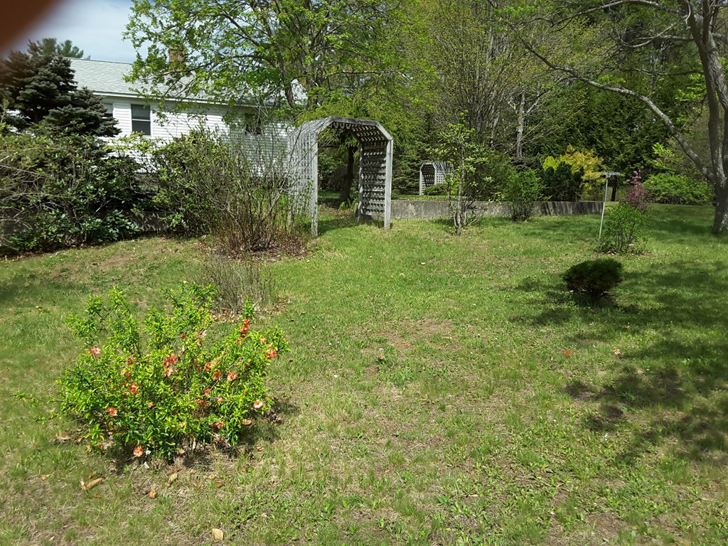 82 Monson Turnpike Road Ware, MA 01082 - Photo 20 of 29 a big yard with lots of green space and plants