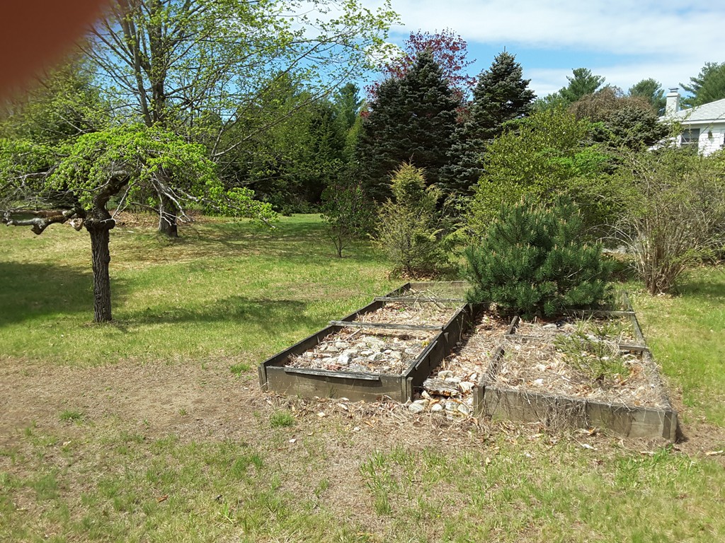 82 Monson Turnpike Road Ware, MA 01082 - Photo 21 of 29 a view of a yard with large trees