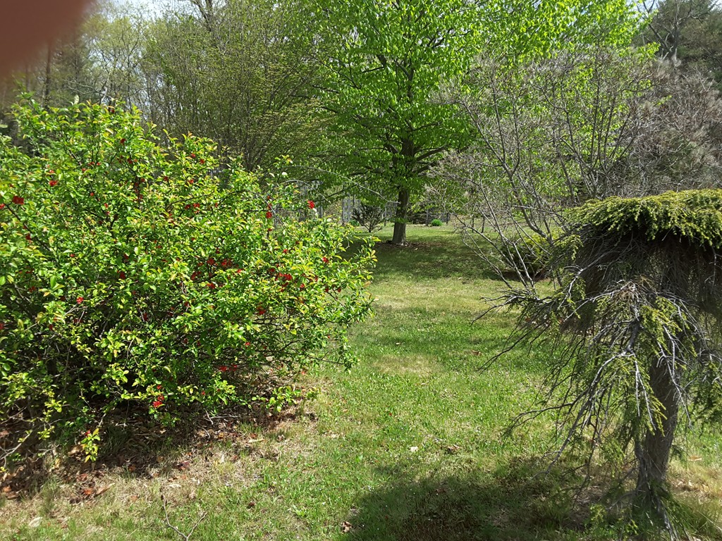 82 Monson Turnpike Road Ware, MA 01082 - Photo 22 of 29 a big yard with lots of green space and trees
