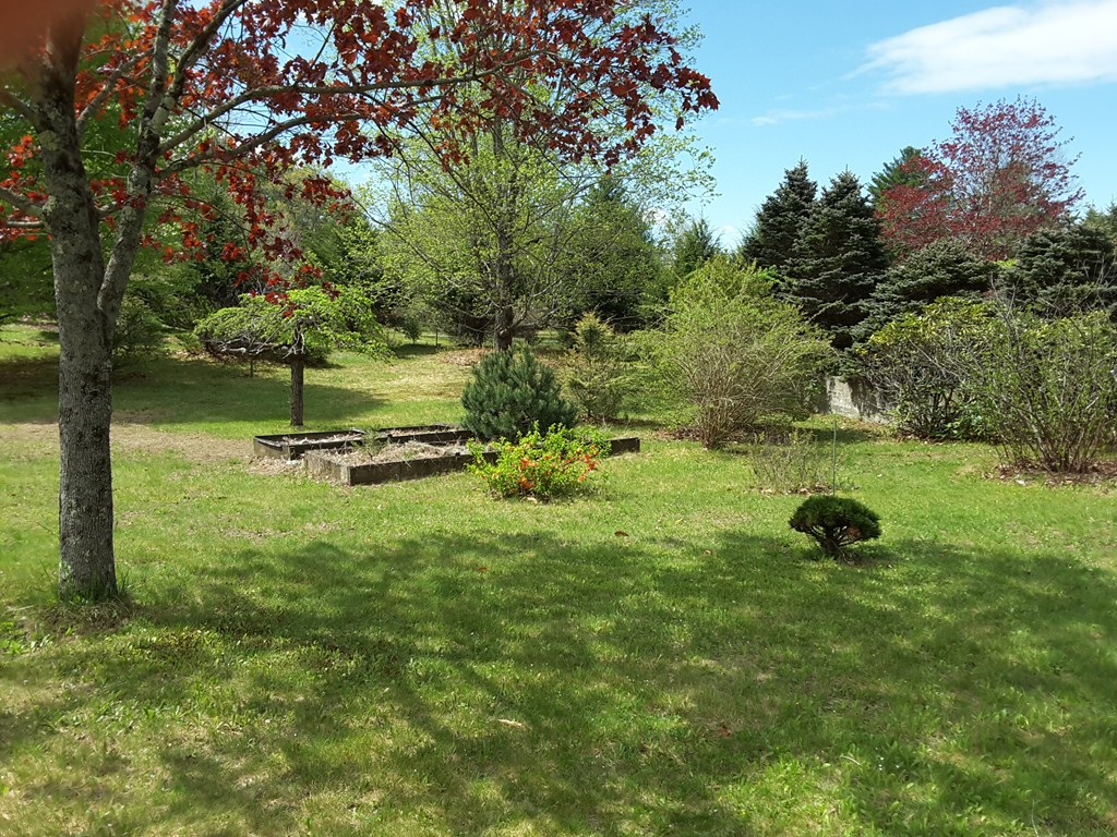 82 Monson Turnpike Road Ware, MA 01082 - Photo 24 of 29 a view of a park with large trees