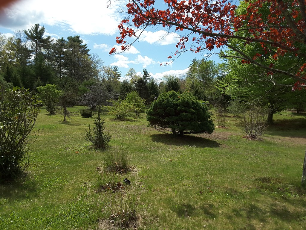 82 Monson Turnpike Road Ware, MA 01082 - Photo 25 of 29 a green field with lots of trees in it