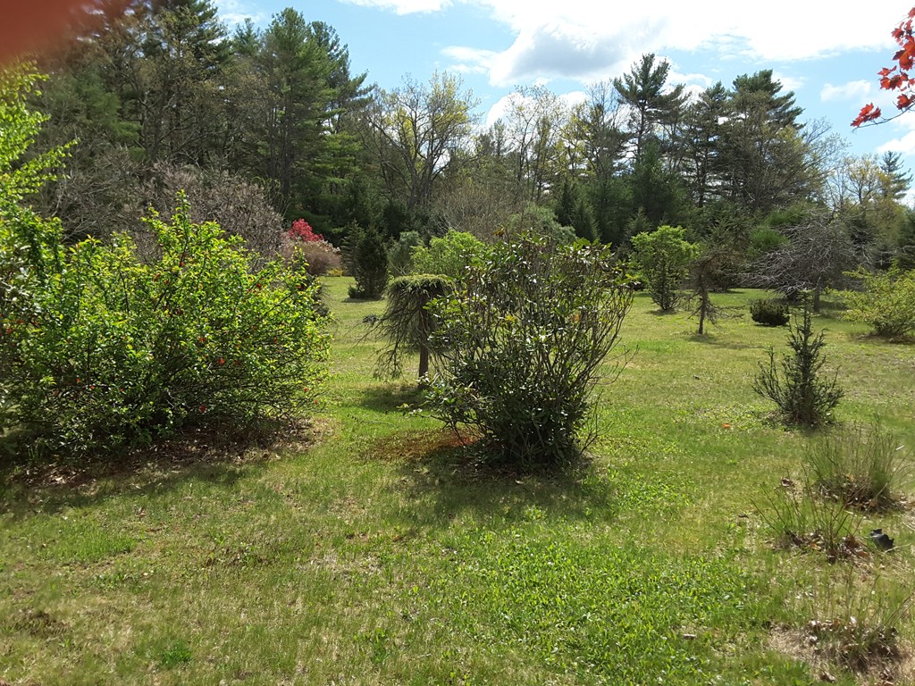 82 Monson Turnpike Road Ware, MA 01082 - Photo 26 of 29 a view of outdoor space and garden