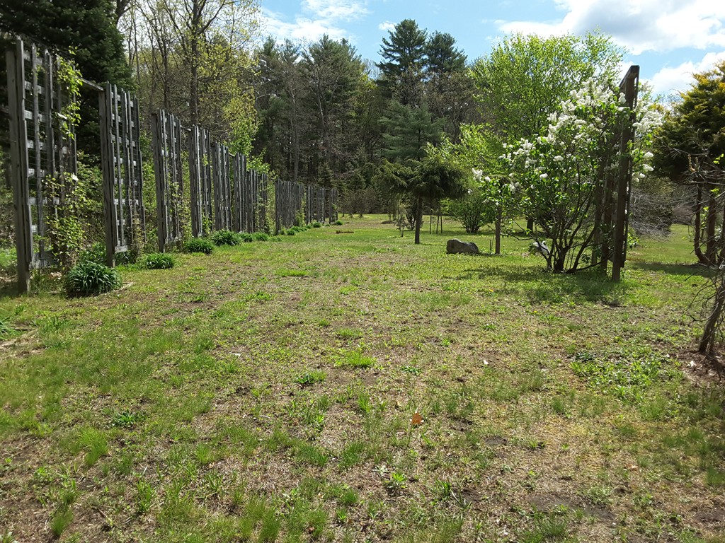 82 Monson Turnpike Road Ware, MA 01082 - Photo 27 of 29 a view of a tree in a yard