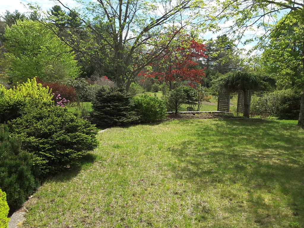 82 Monson Turnpike Road Ware, MA 01082 - Photo 28 of 29 a view of a yard with plants and large trees