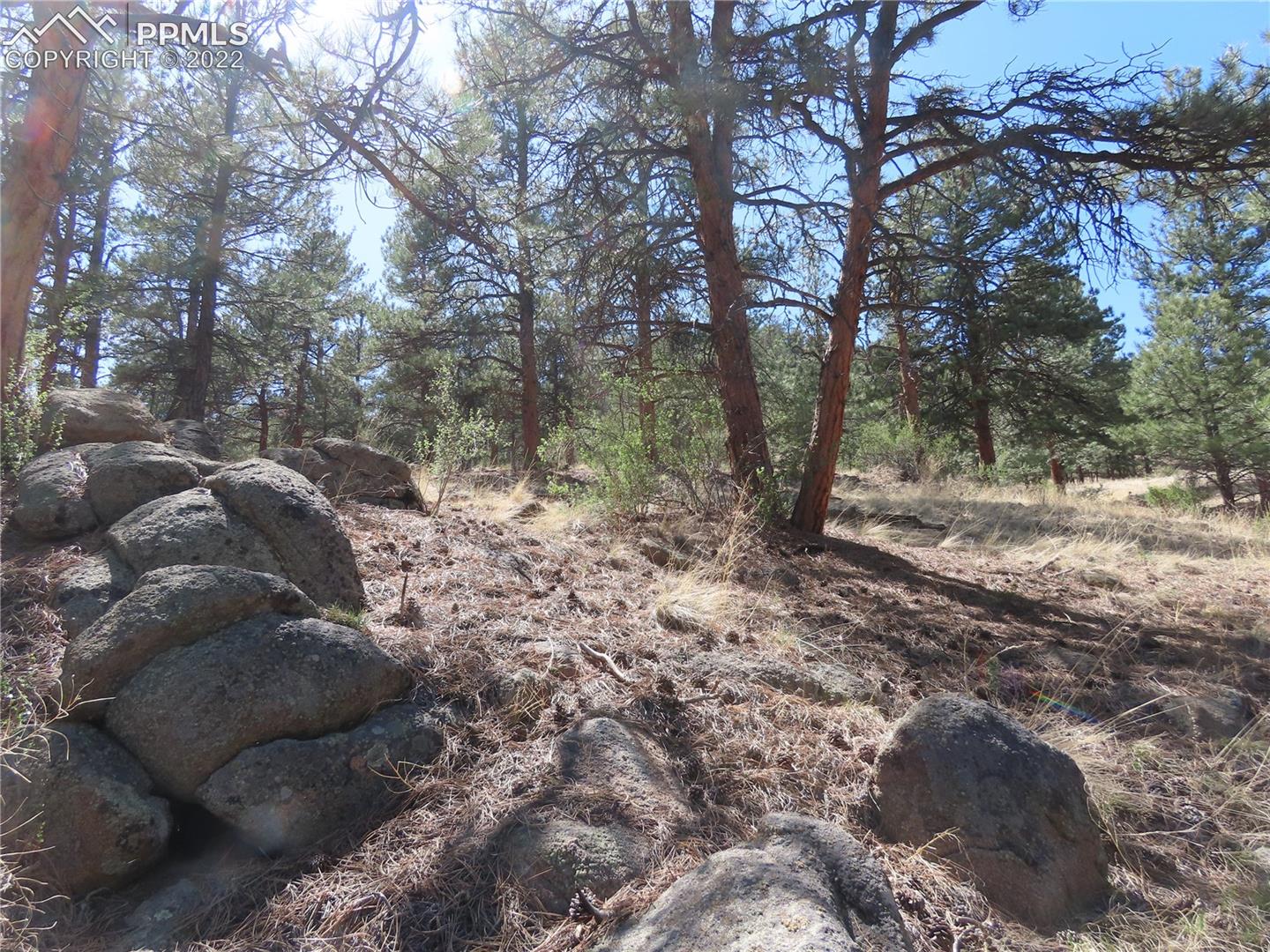 165 West Platte Road Lake George, CO 80827 - Photo 1 of 27