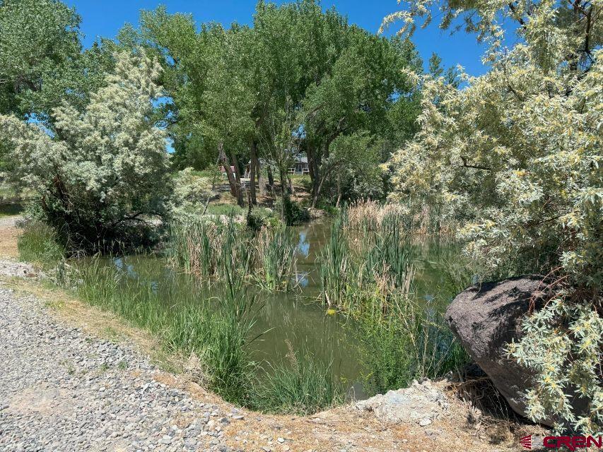 21357 Knight Road Austin, CO 81410 - Photo 33 of 35 a view of a garden