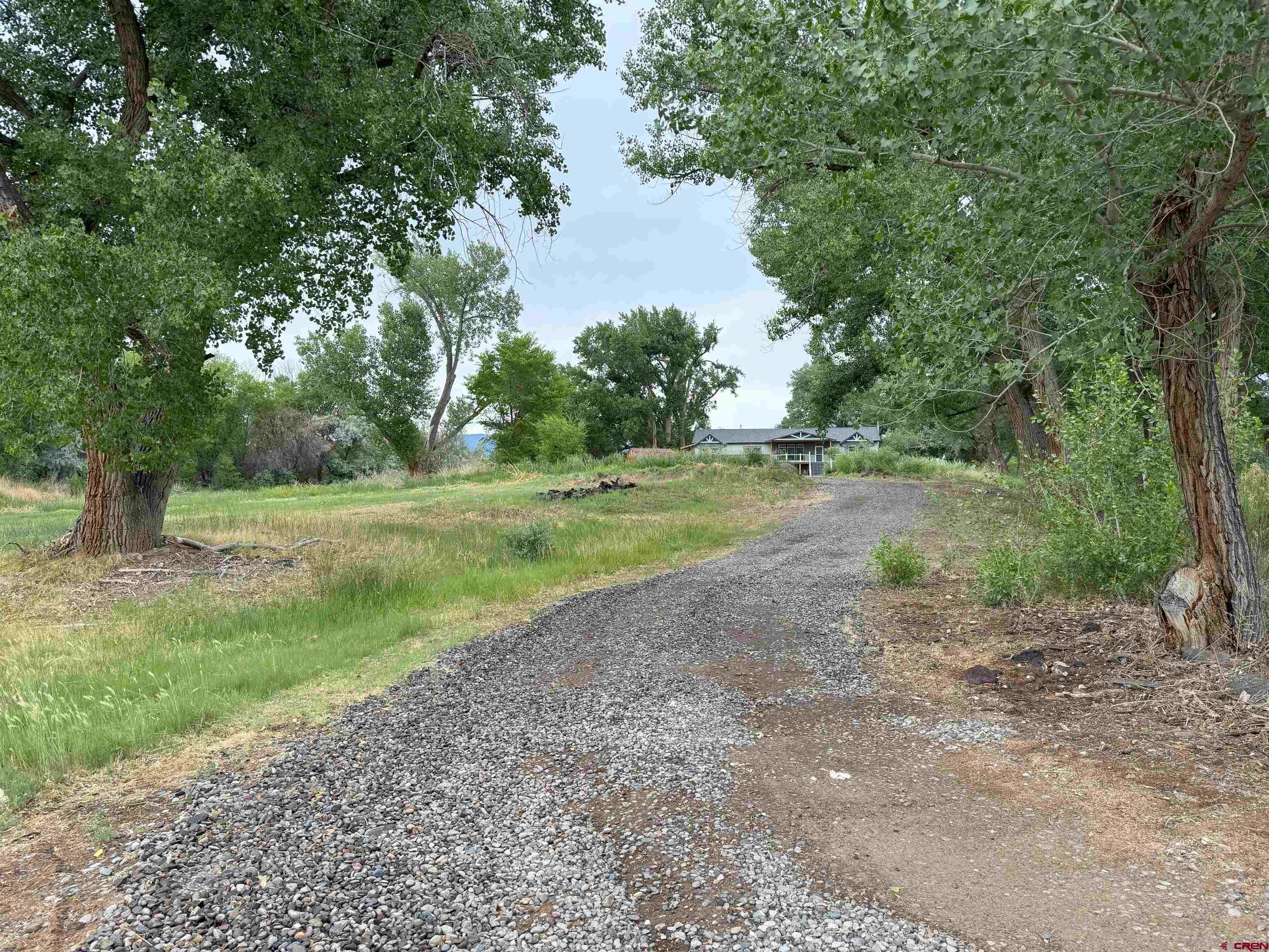 21357 Knight Road Austin, CO 81410 - Photo 5 of 35 a view of a park