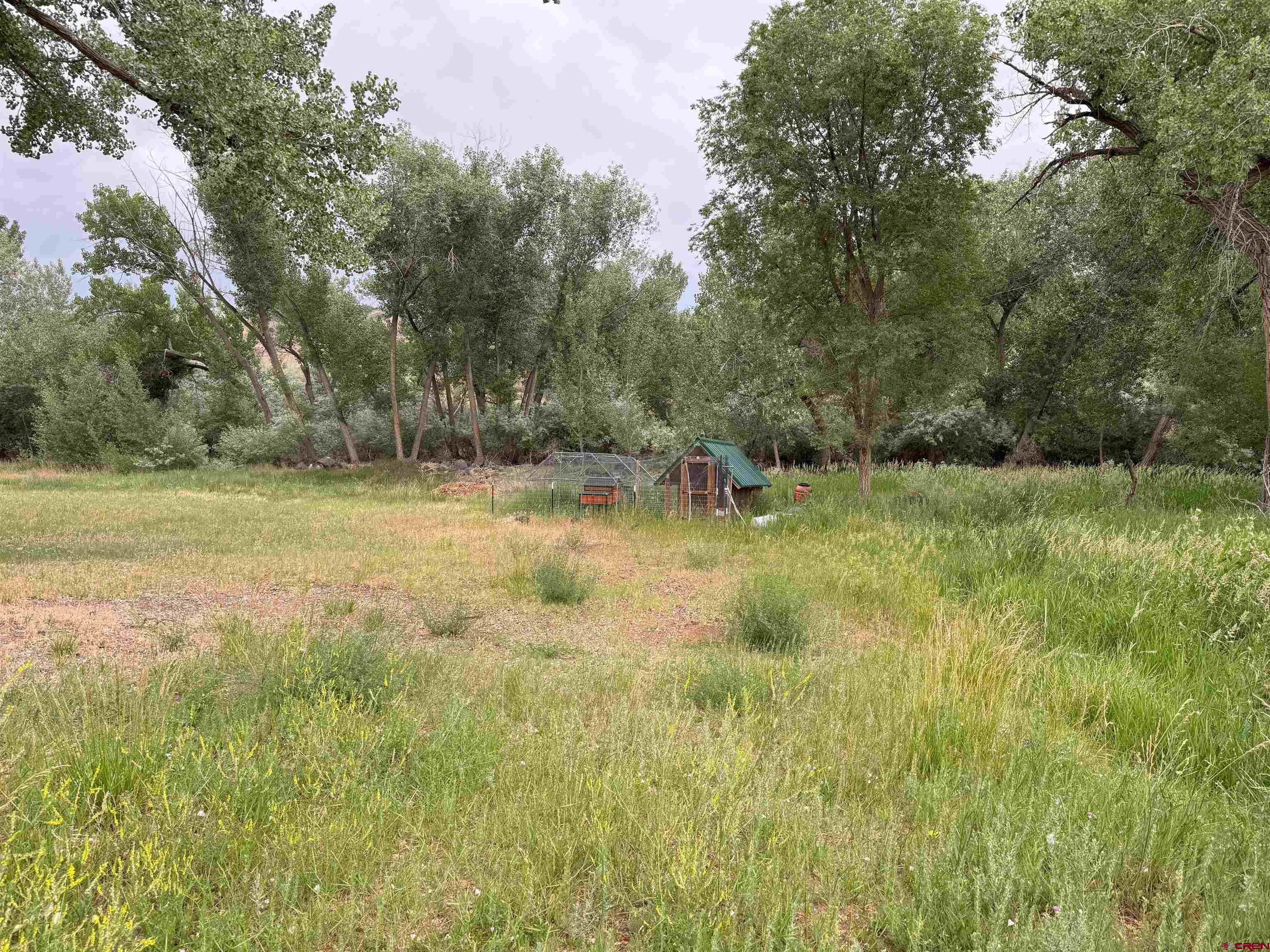 21357 Knight Road Austin, CO 81410 - Photo 7 of 35