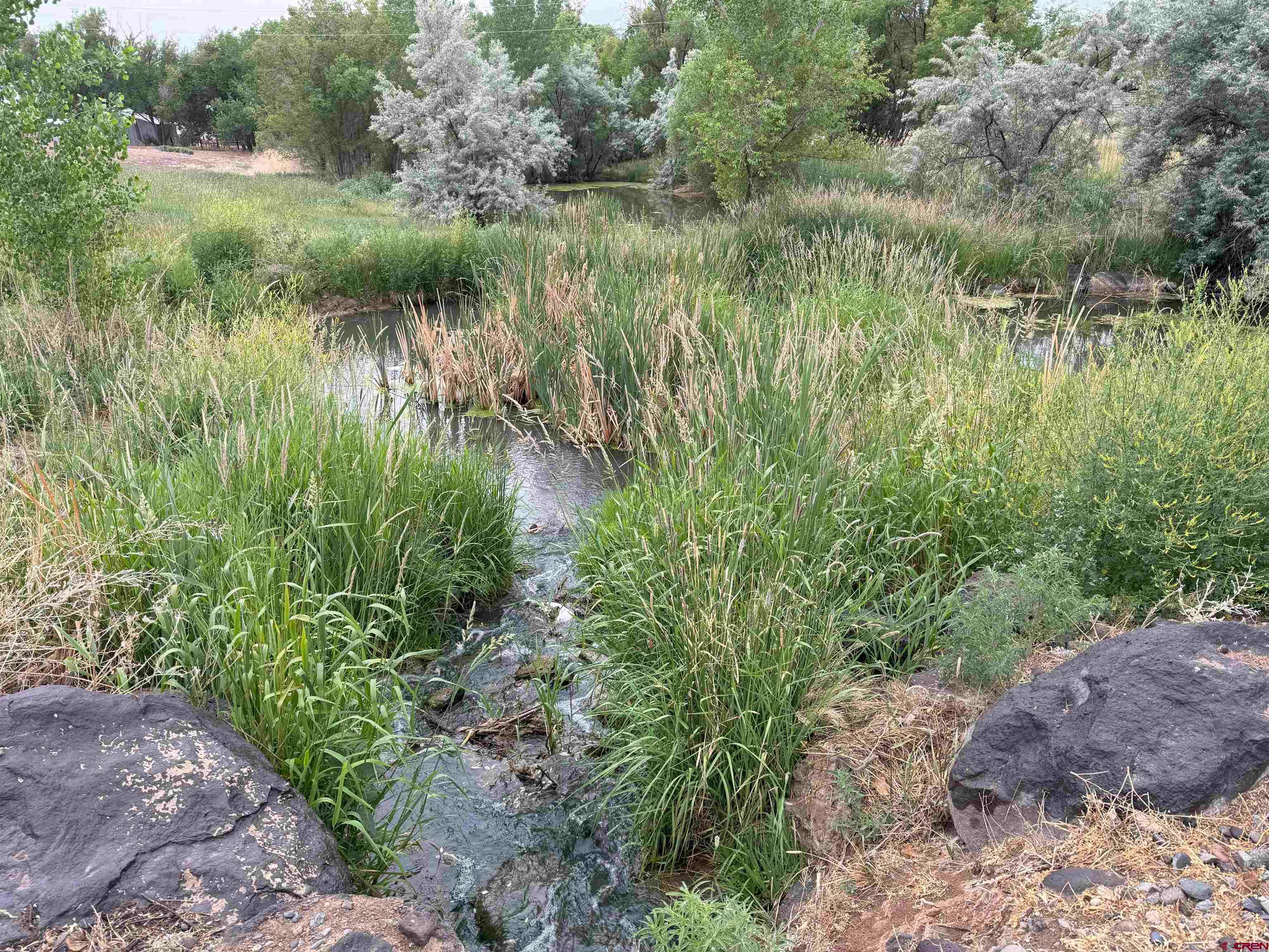 21357 Knight Road Austin, CO 81410 - Photo 8 of 35 a view of a lake view with a garden
