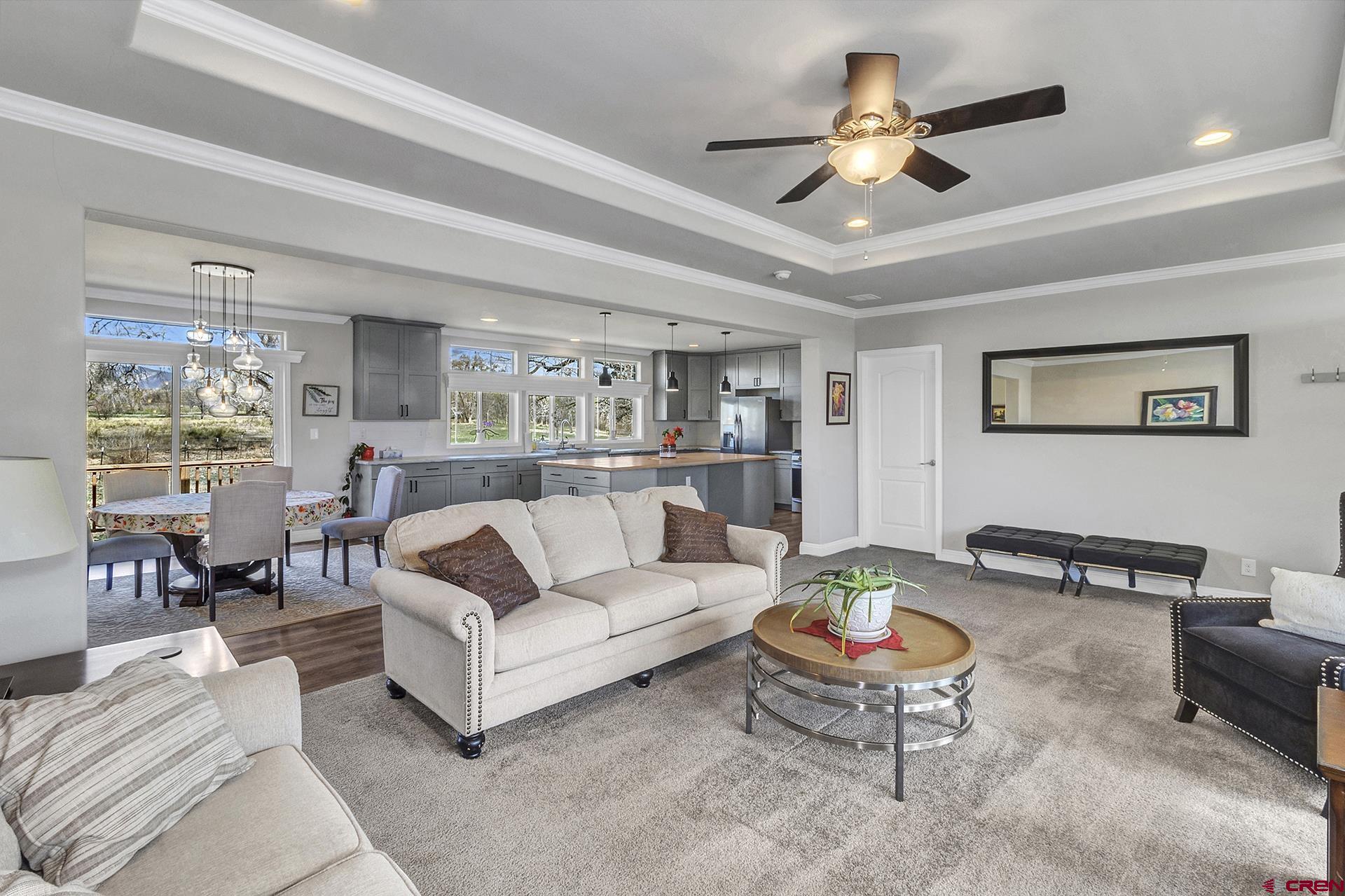 21357 Knight Road Austin, CO 81410 - Photo 10 of 35 a living room with furniture and a chandelier