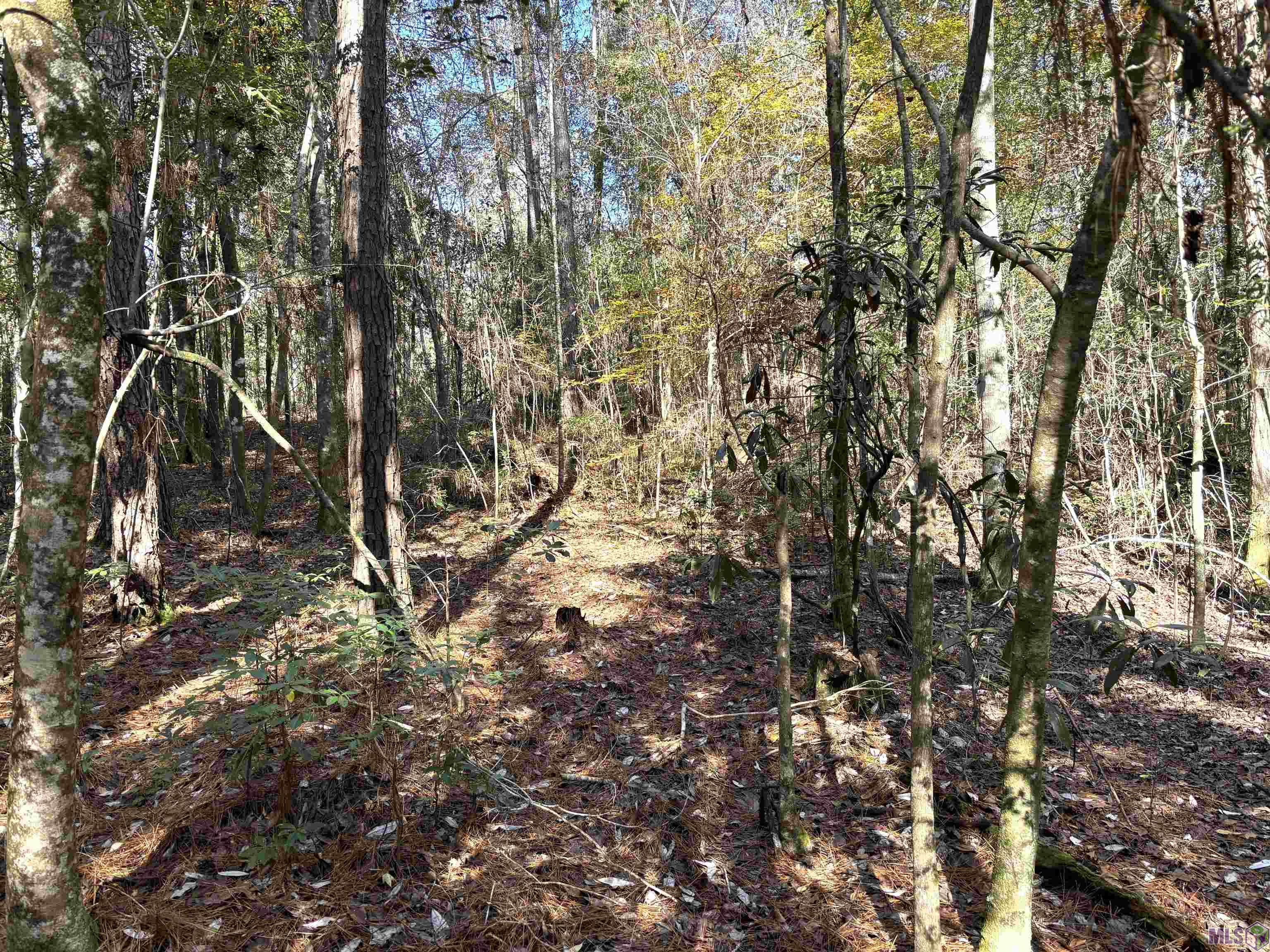 0 McGehee Road Bogalusa, LA 70427 - Photo 5 of 27