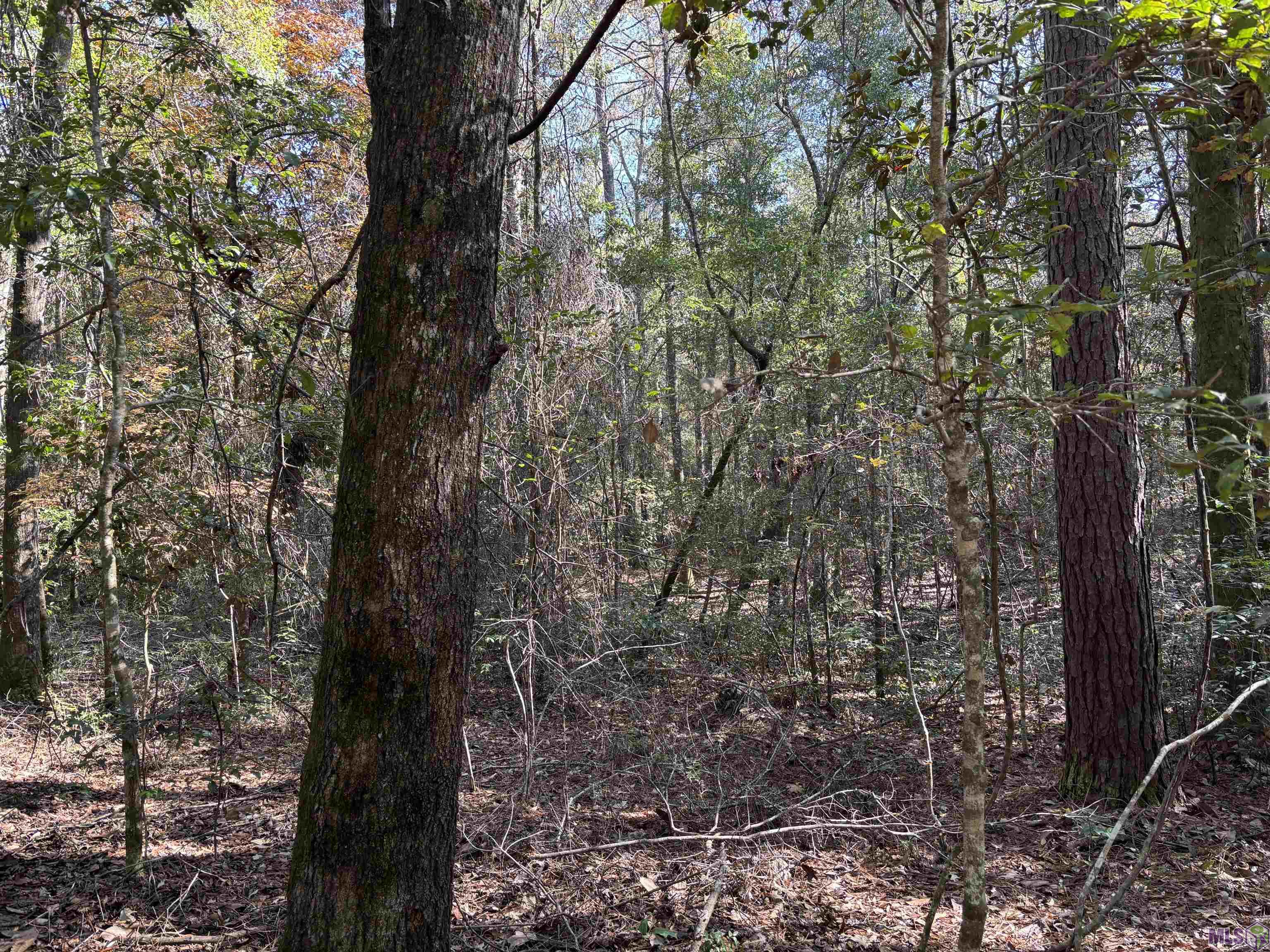 0 McGehee Road Bogalusa, LA 70427 - Photo 9 of 27