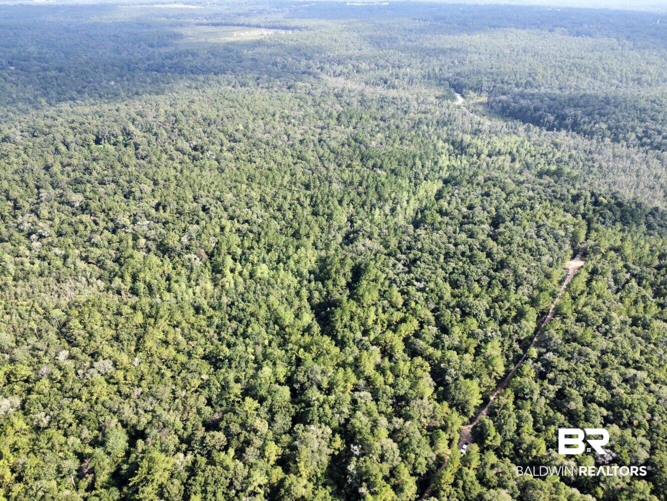 0 Bear Fork Road Mobile, AL 36618 - Photo 8 of 50