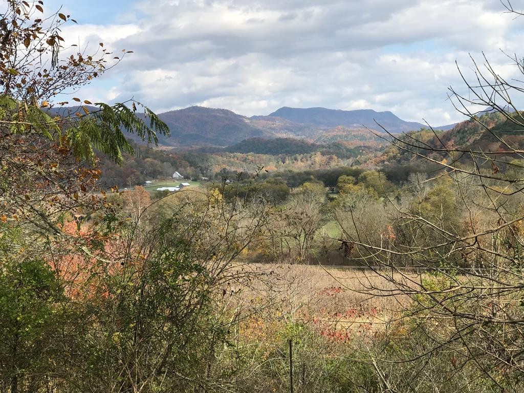 0 Dixon Branch Road Sevierville, TN 37876 - Photo 1 of 8