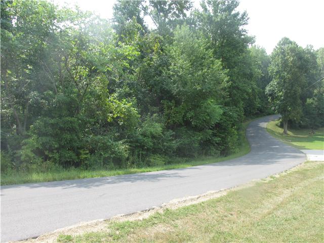 0 Rouse Dickson, TN 37055 - Photo 1 of 3