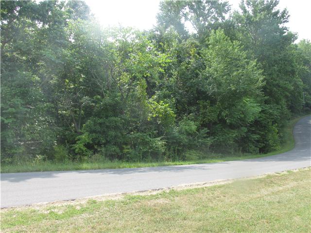 0 Rouse Dickson, TN 37055 - Photo 2 of 3