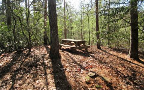 Chickasaw Trail Blue Ridge, GA 30513 - Photo 1 of 1 Main View
