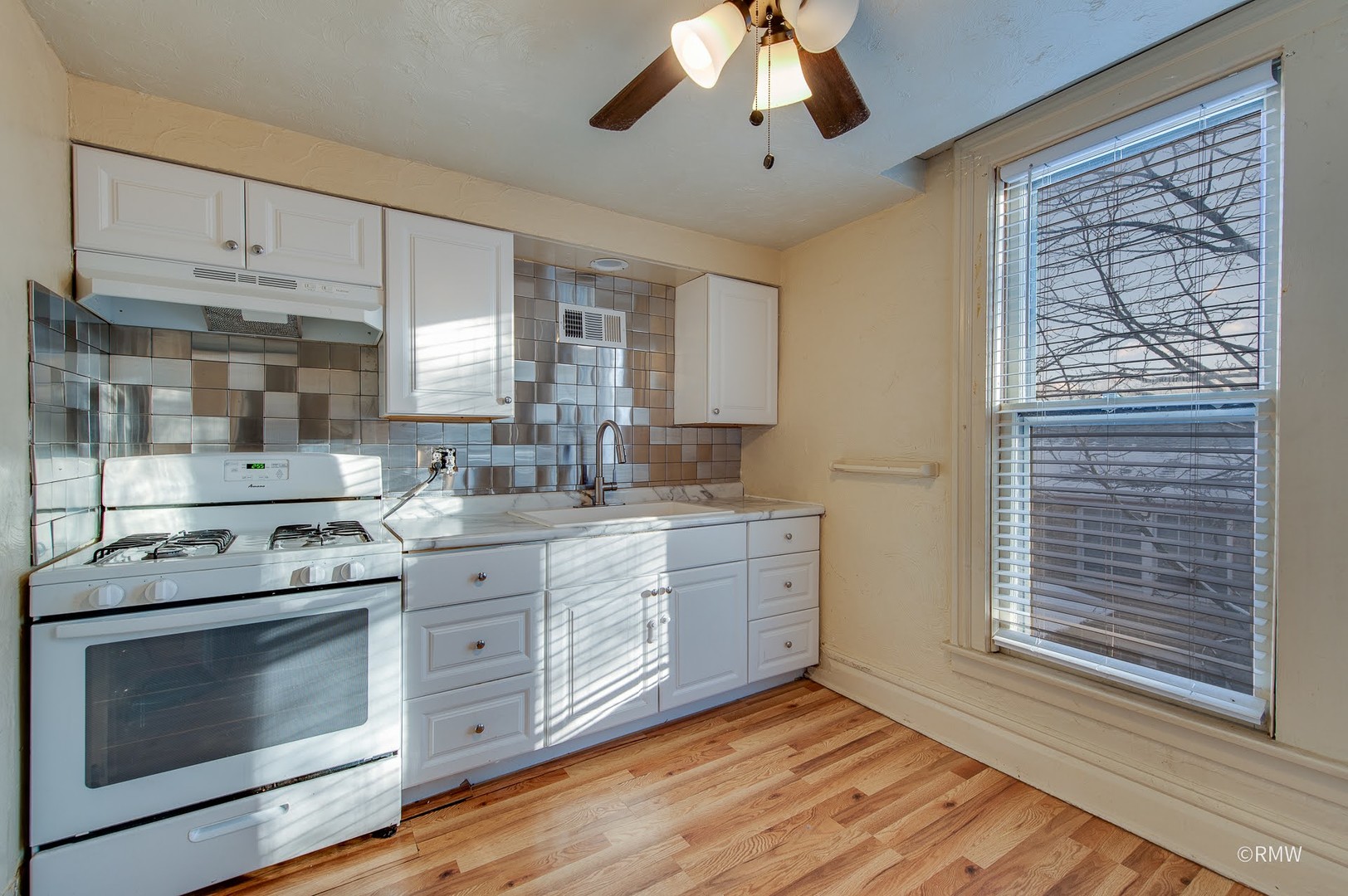 325 East Chicago Street, Unit 2 Elgin, IL 60120 - Photo 3 of 13
