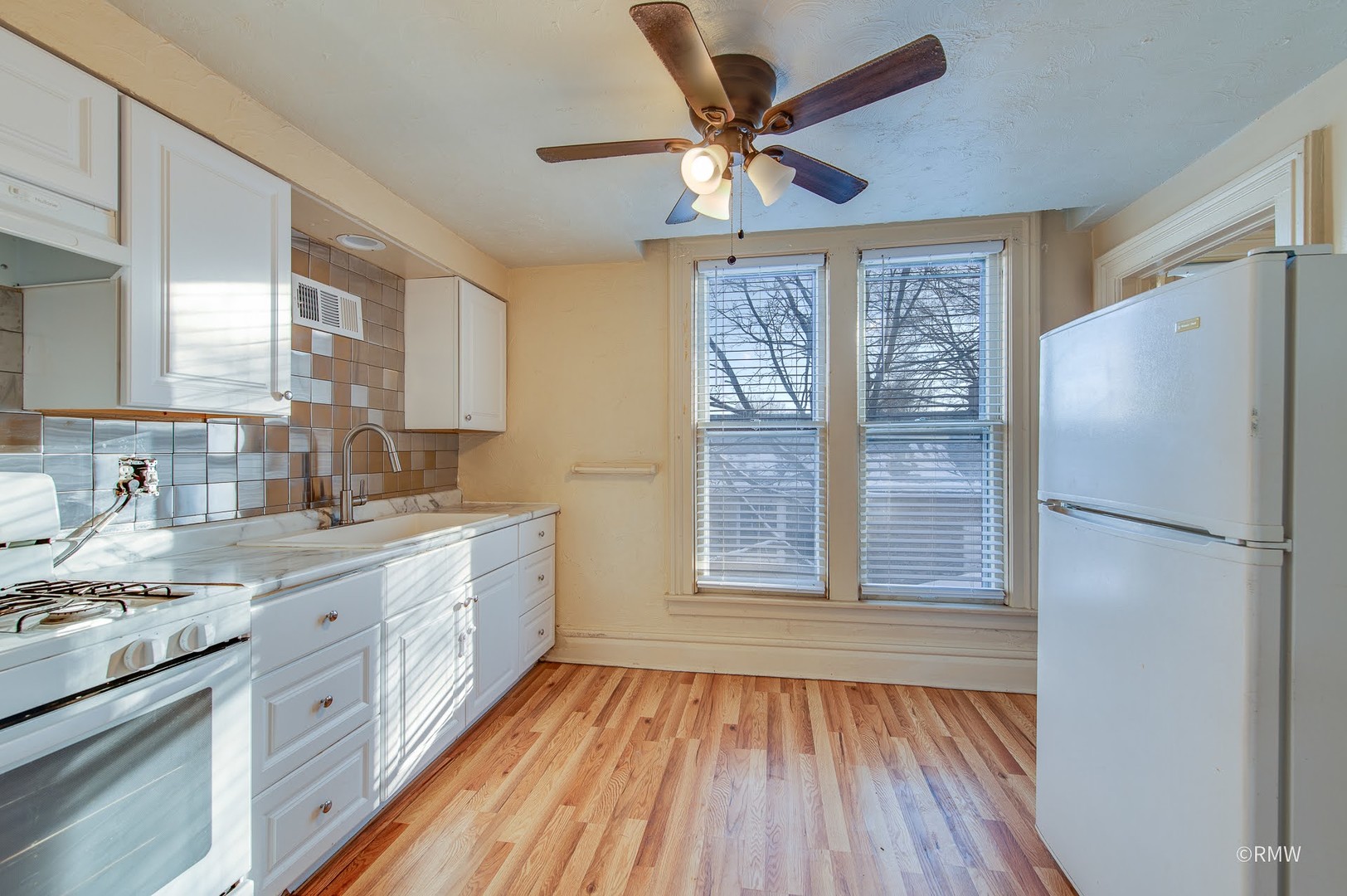 325 East Chicago Street, Unit 2 Elgin, IL 60120 - Photo 4 of 13