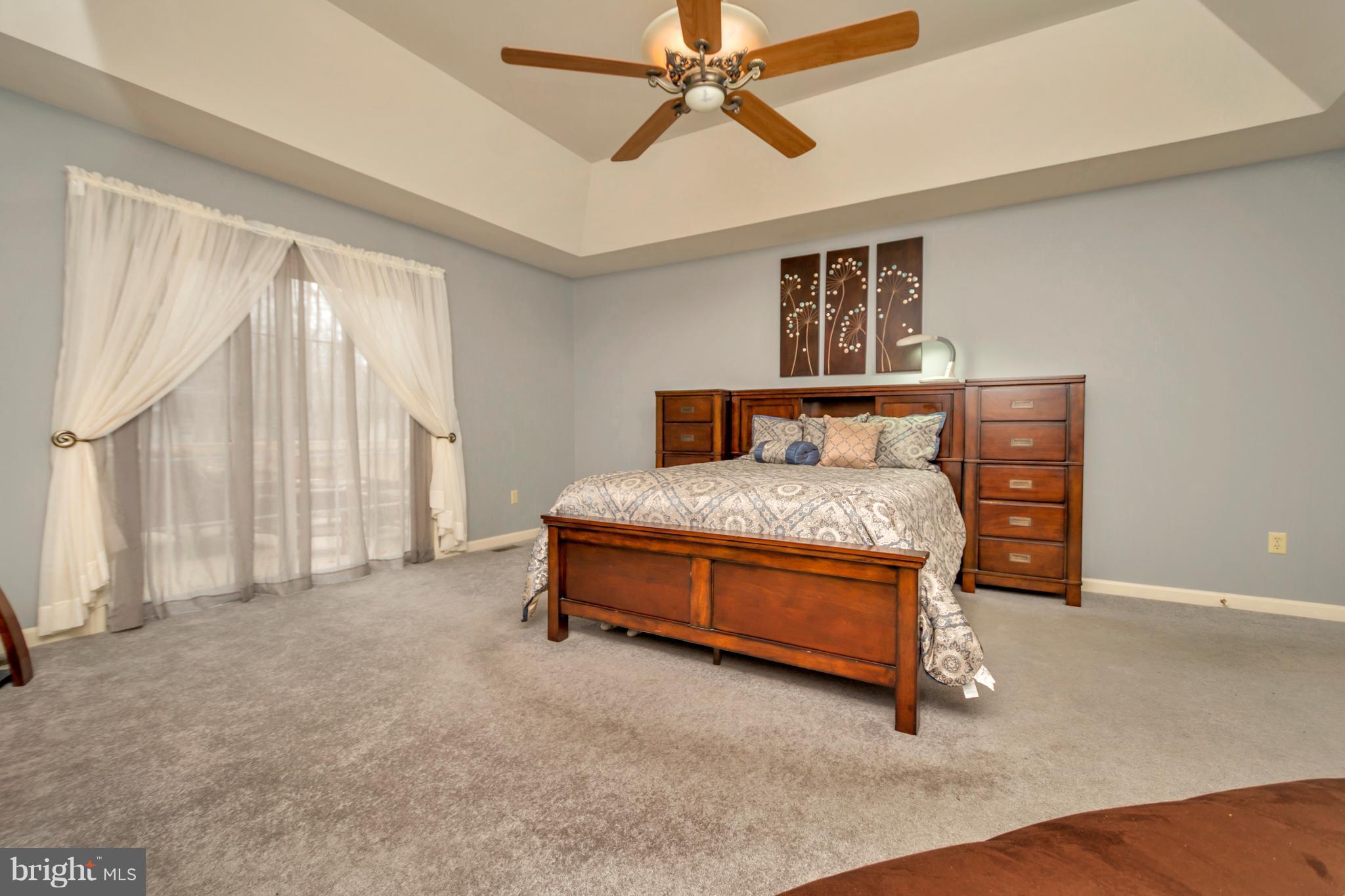 215 Birdie Road Locust Grove, VA 22508 - Photo 12 of 30 Master boasts tray ceiling and deck access!