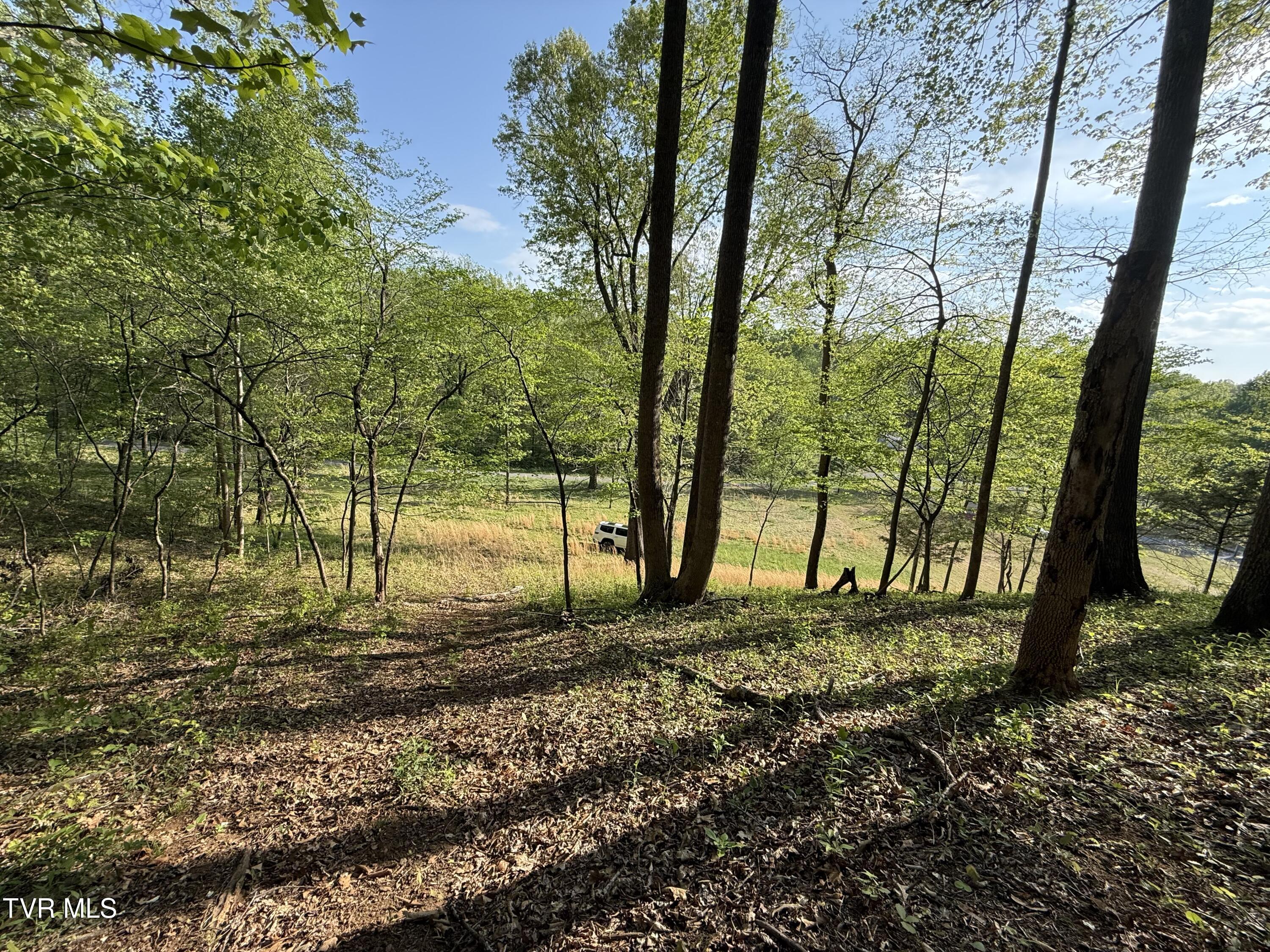 Tbd Bobs Hollow Road, Unit LOT 4 Elizabethton, TN 37643 - Photo 13 of 37 IMG_5224