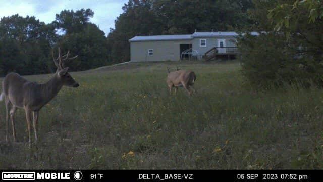 19180 East 920th Road Humansville, MO 65674 - Photo 51 of 61 015f00a7-0212-4988-9bb0-857bd5eaeb5c