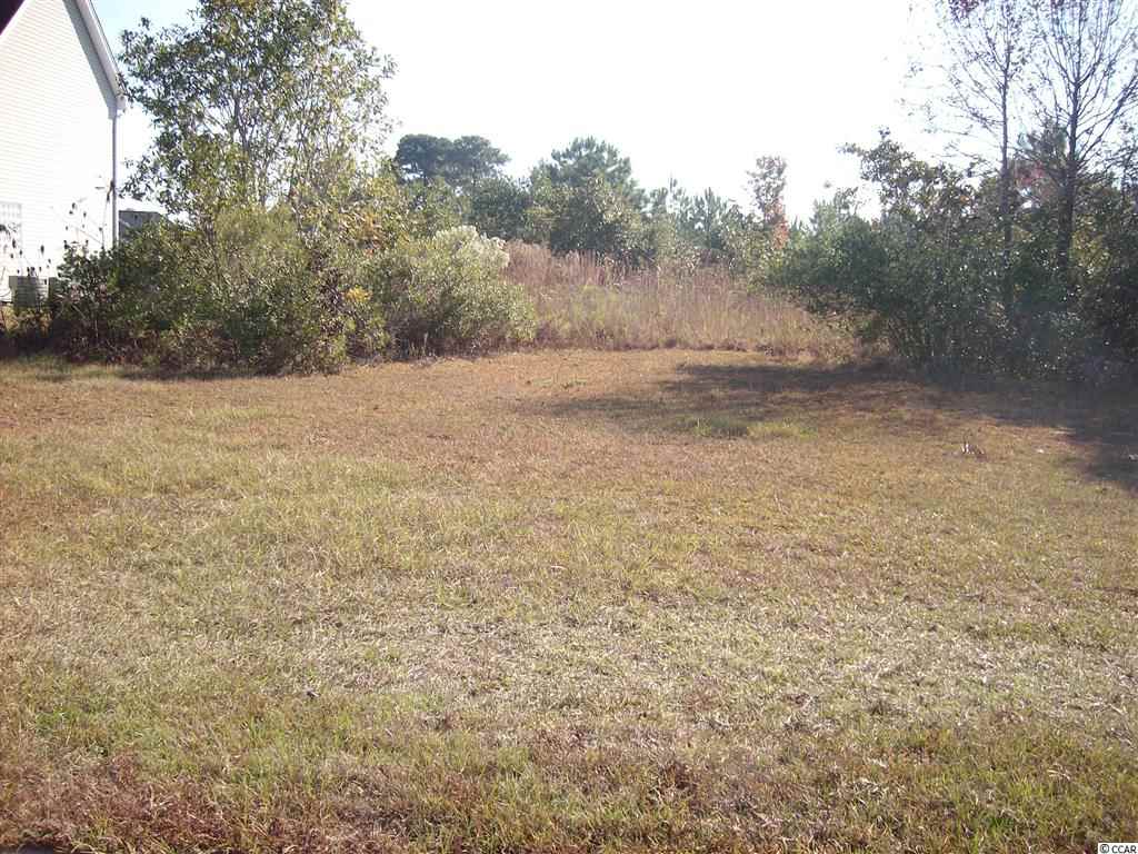 Lot 232 Corn Pile Road Myrtle Beach, SC 29588 - Photo 1 of 1 Gallery Image 1