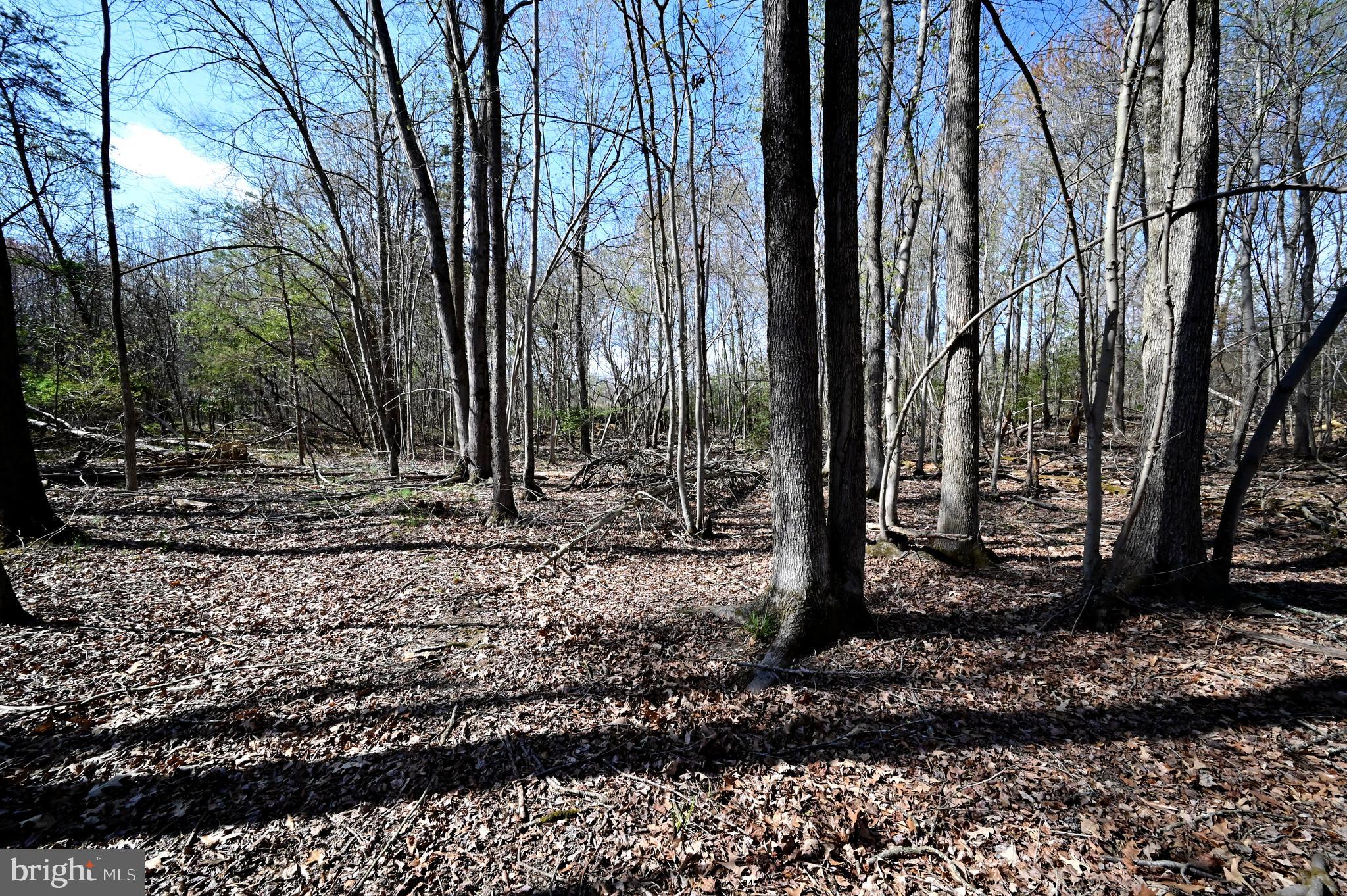 17811 Livingston Road Accokeek, MD 20607 - Photo 5 of 9