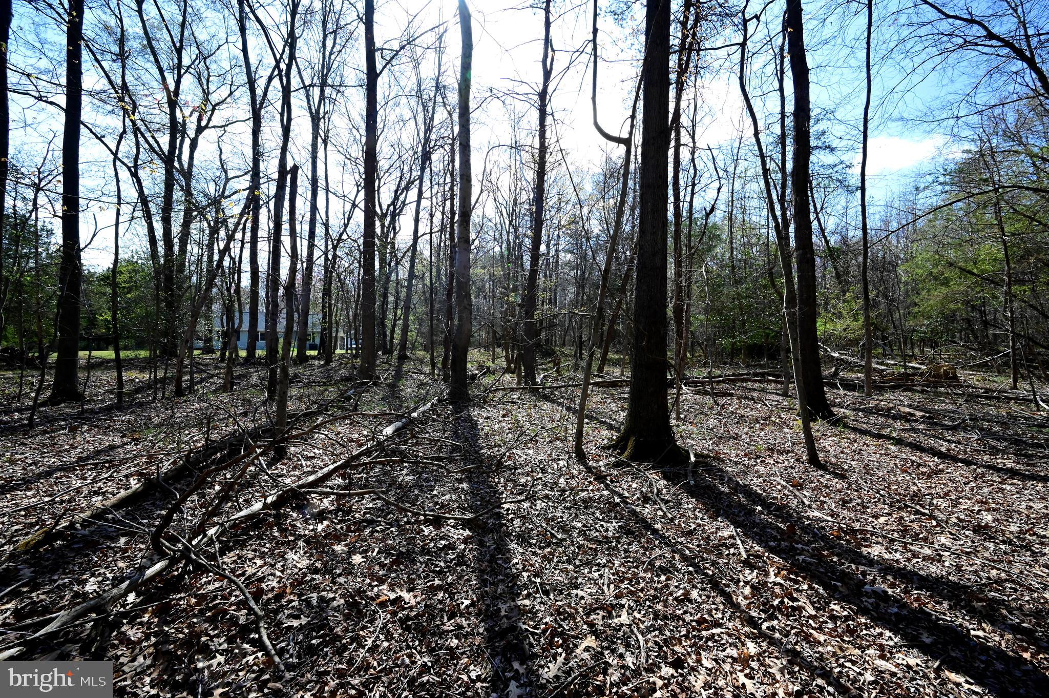 17811 Livingston Road Accokeek, MD 20607 - Photo 7 of 9