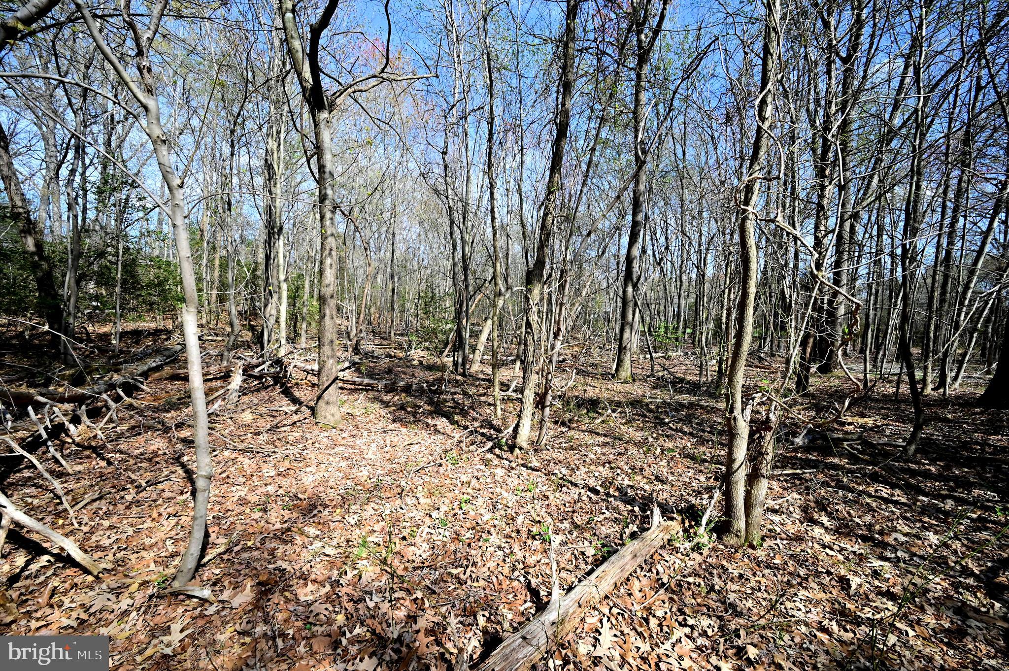 17811 Livingston Road Accokeek, MD 20607 - Photo 9 of 9