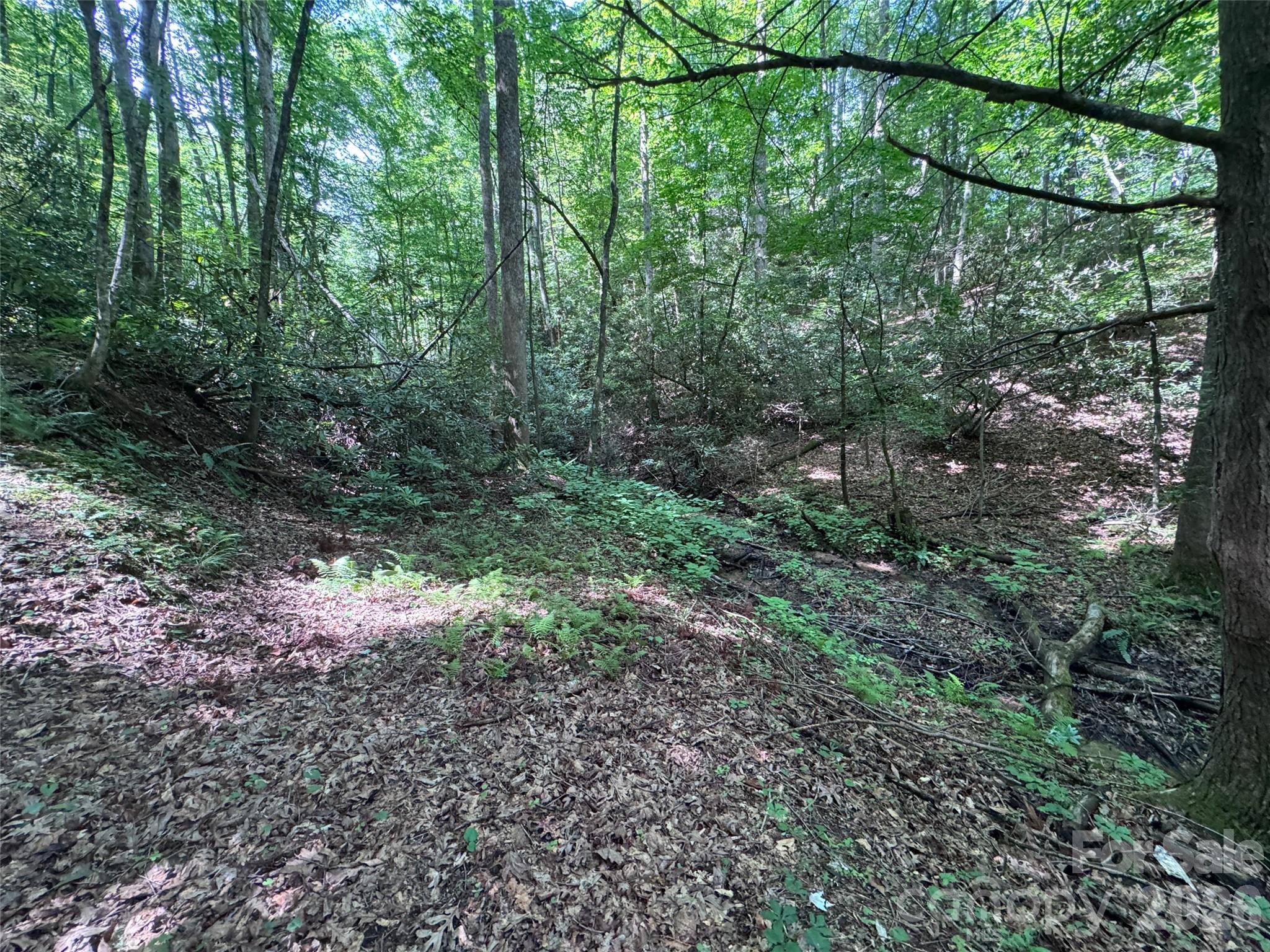 10 A Reserve Road Pisgah Forest, NC 28768 - Photo 15 of 33