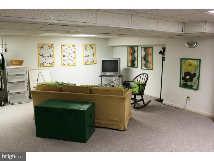 270 Lawrence Lane Wayne, PA 19087 - Photo 24 of 25 Basement - Finished