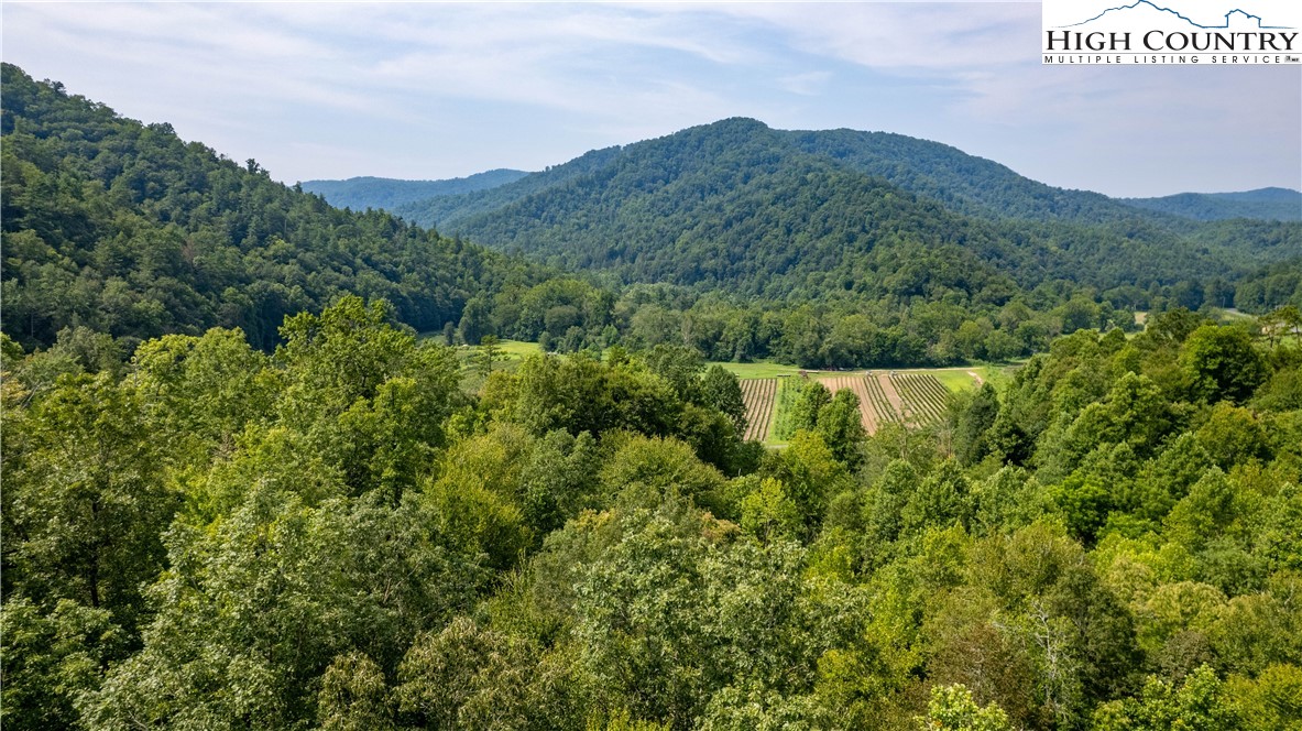 Lot 18 Collettsville Road Lenoir, NC 28645 - Photo 5 of 20 Gallery Image 5