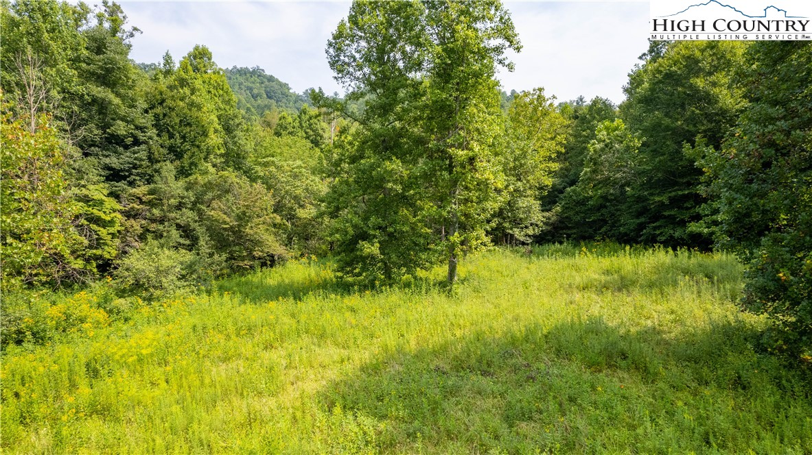 Lot 18 Collettsville Road Lenoir, NC 28645 - Photo 8 of 20 Gallery Image 8