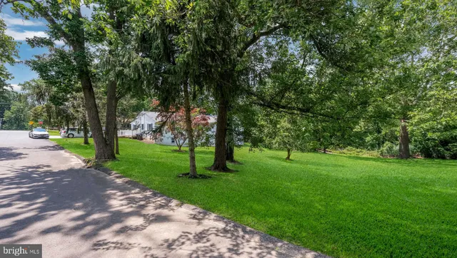 a view of grassy field with trees