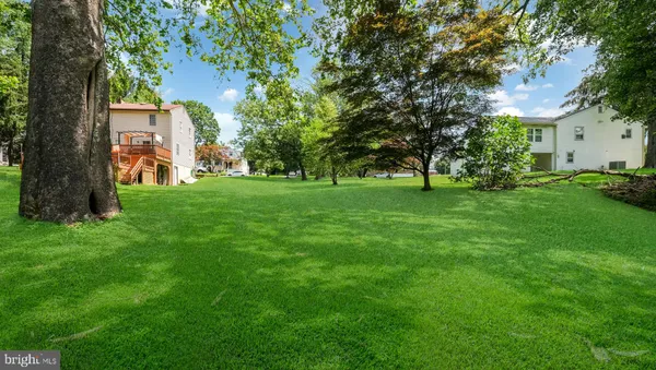a view of a trees in front of a big yard