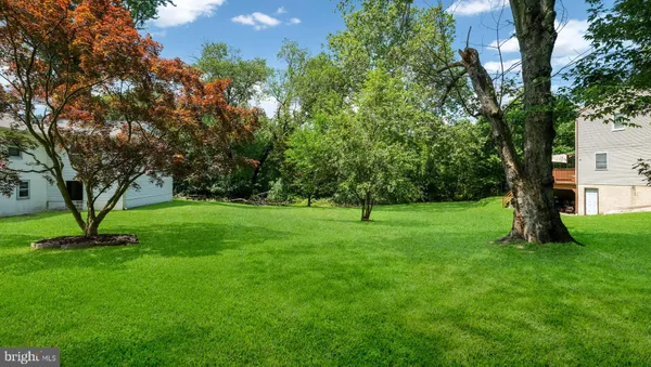 a view of a trees in a yard