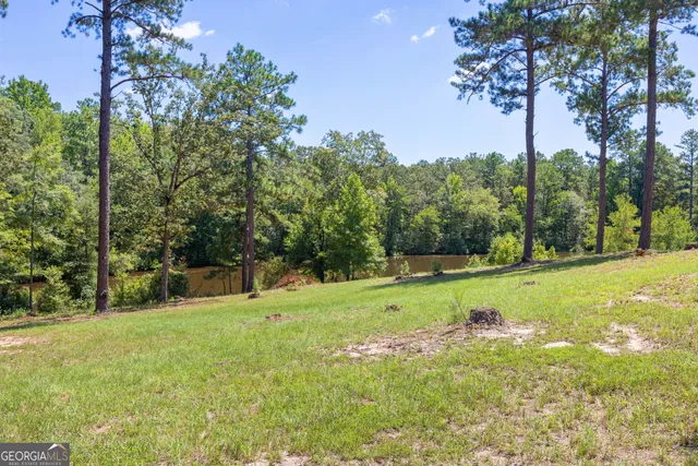 $780,000 | 475 Rock Church Road, Junction City, GA 31812