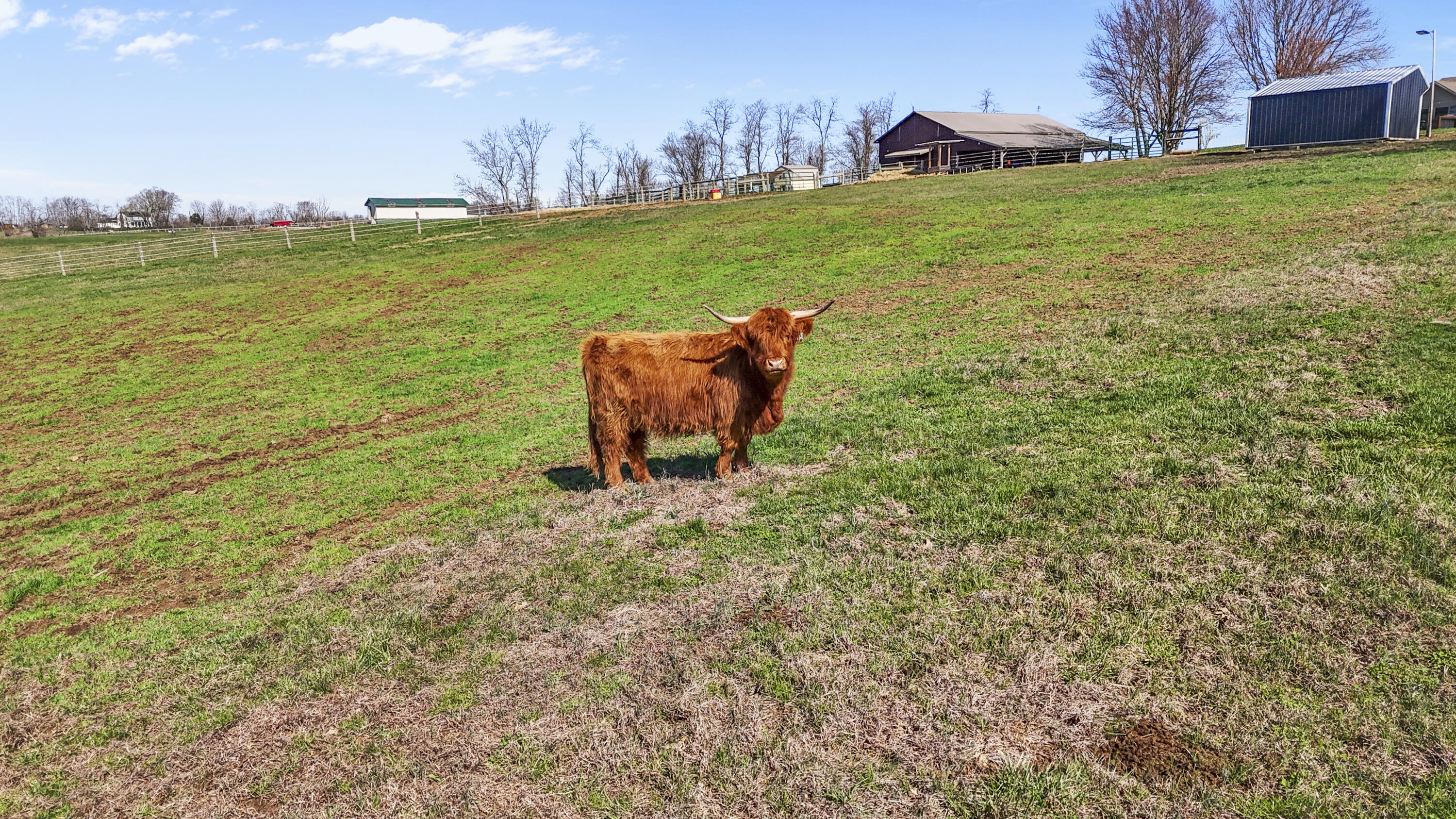 8353 Wades Mill Road Mount Sterling, KY 40353 - Photo 15 of 58 DJI_20260312115921_0079_D