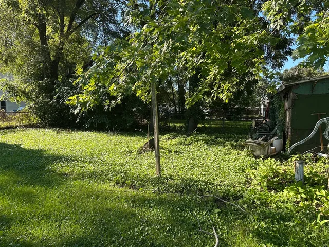 a garden view with a seating space