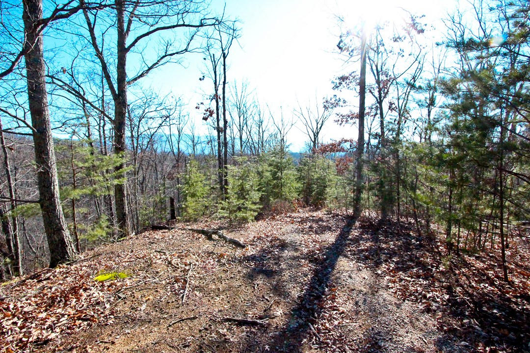 4401 Wilhite Road Cosby, TN 37722 - Photo 16 of 28 IMG_9366
