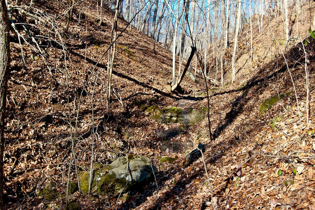 4401 Wilhite Road Cosby, TN 37722 - Photo 23 of 28 IMG_9378