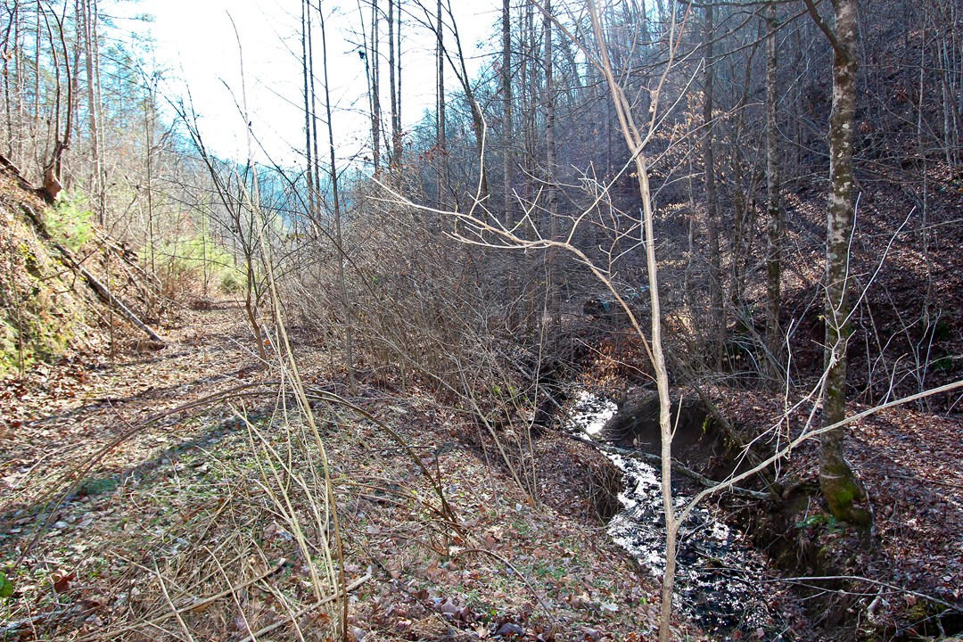 4401 Wilhite Road Cosby, TN 37722 - Photo 24 of 28 IMG_9379