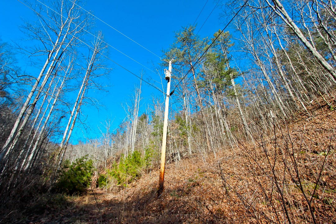 4401 Wilhite Road Cosby, TN 37722 - Photo 25 of 28 IMG_9380