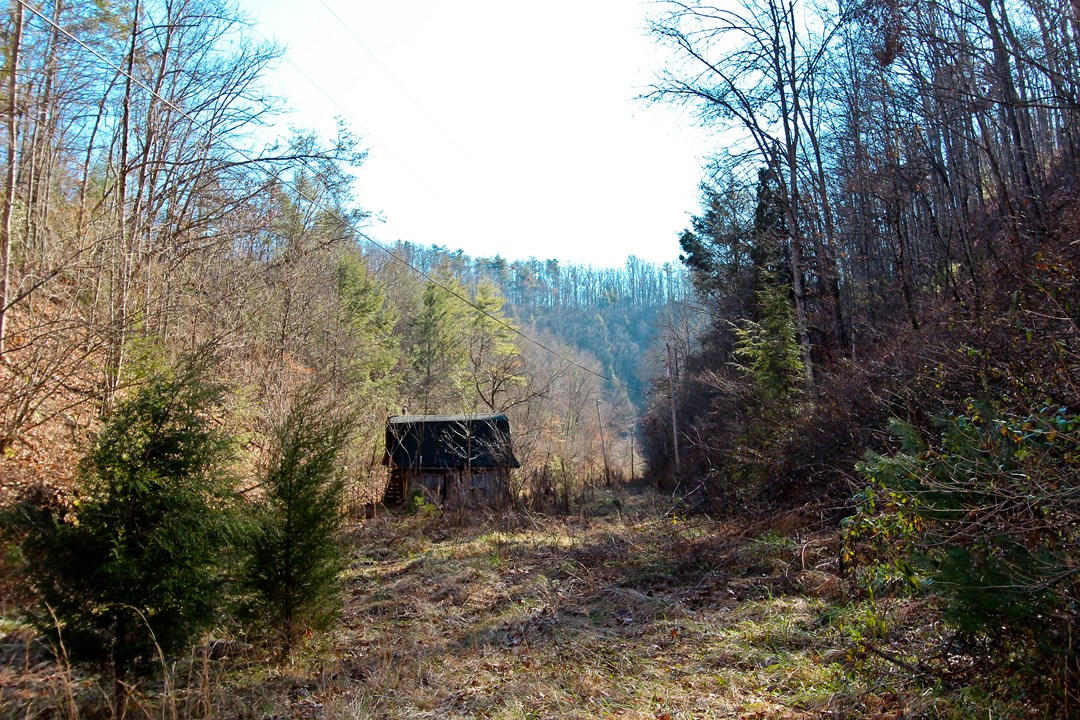 4401 Wilhite Road Cosby, TN 37722 - Photo 26 of 28 IMG_9381